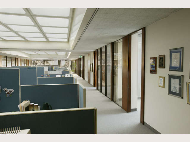 Molina Healthcare