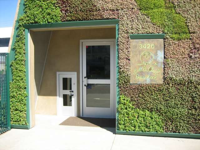 Entrance Doors (Small and Tall) Entrance Doors (Small and Tall)