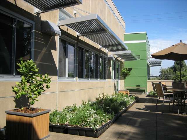 Roof Garden Roof Garden